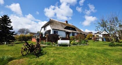 Double room 47002 - Thatched roof house 47001