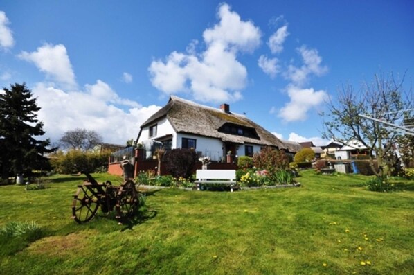 Immagine non classificata, 1 di 13, pulsante