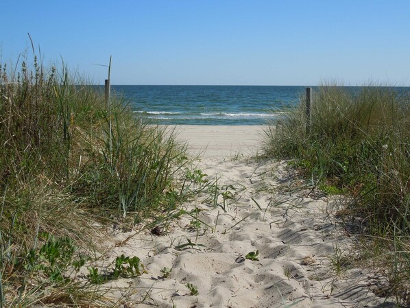 Nära stranden