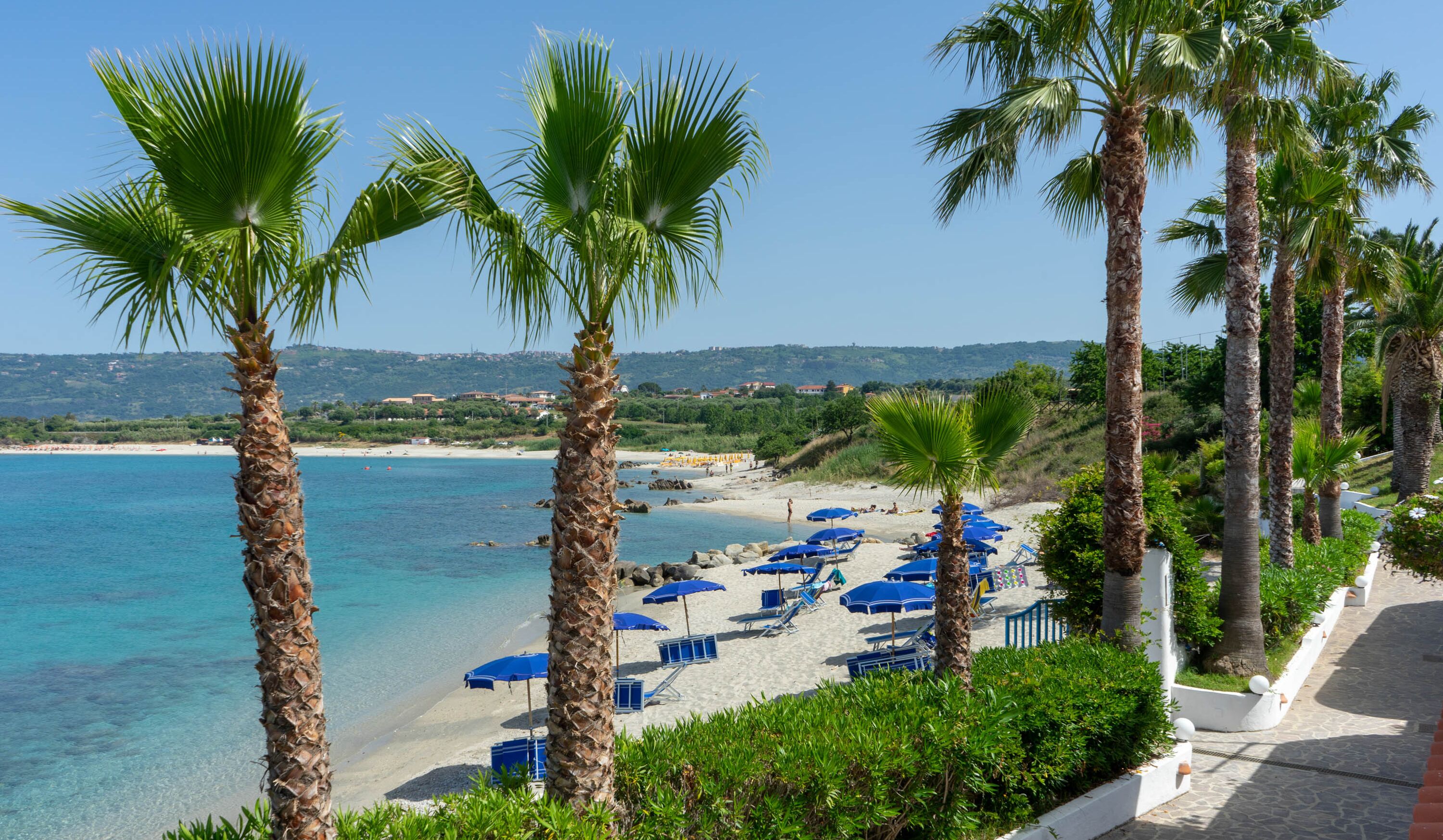 A beach with palm trees, blue umbrellas, and clear blue water.