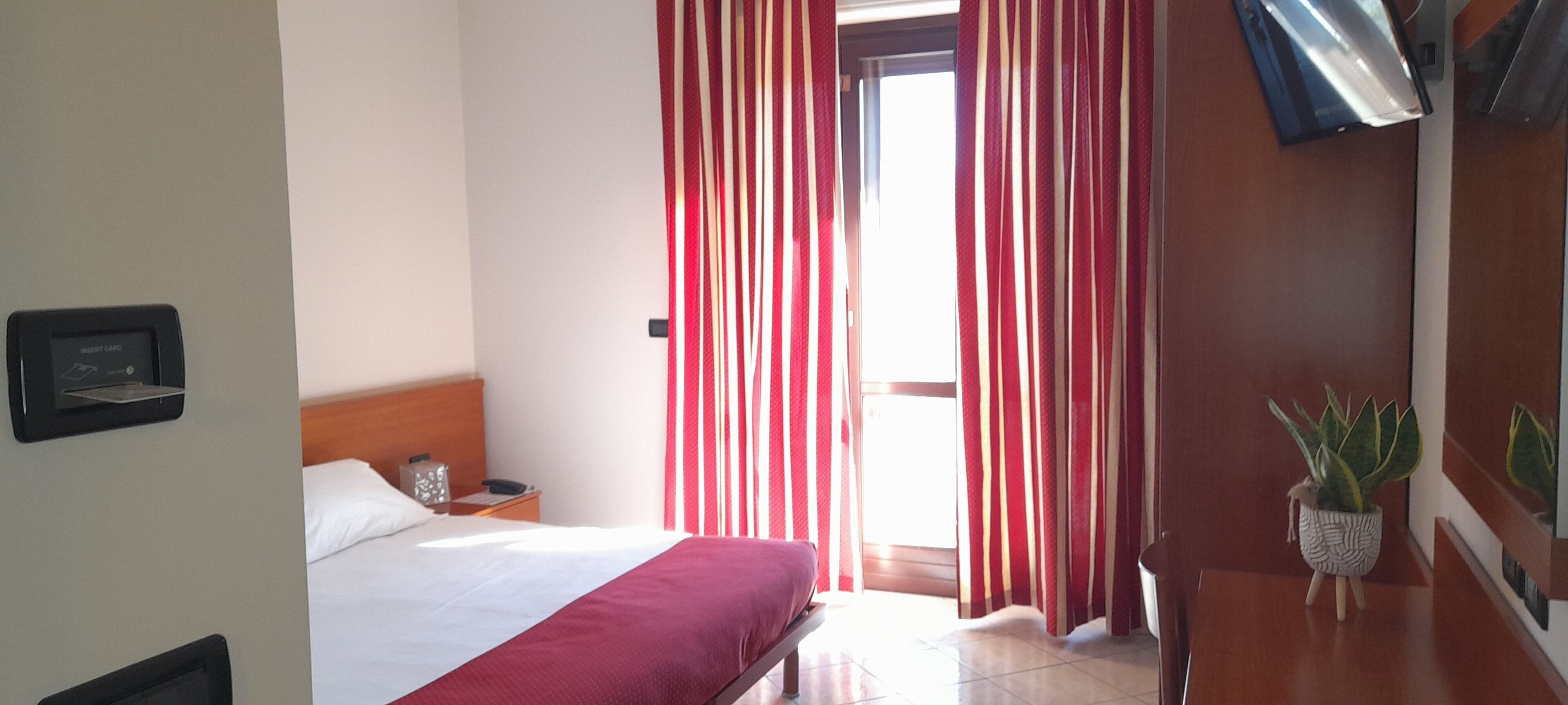A hotel room with a bed, a nightstand, a potted plant, and a window with curtains.