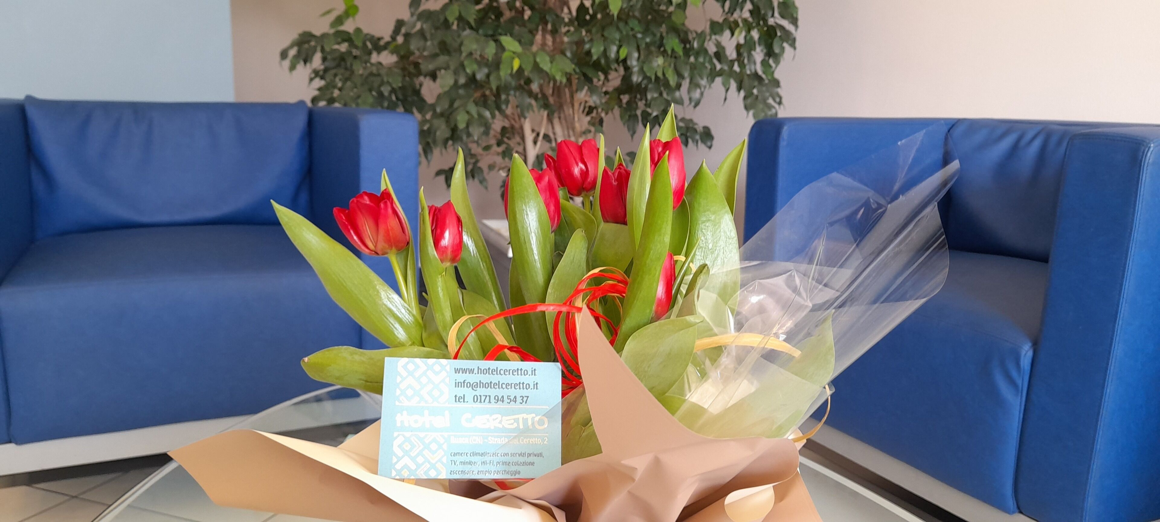 A bouquet of red tulips in a clear vase with a card on a table in front of a blue couch.