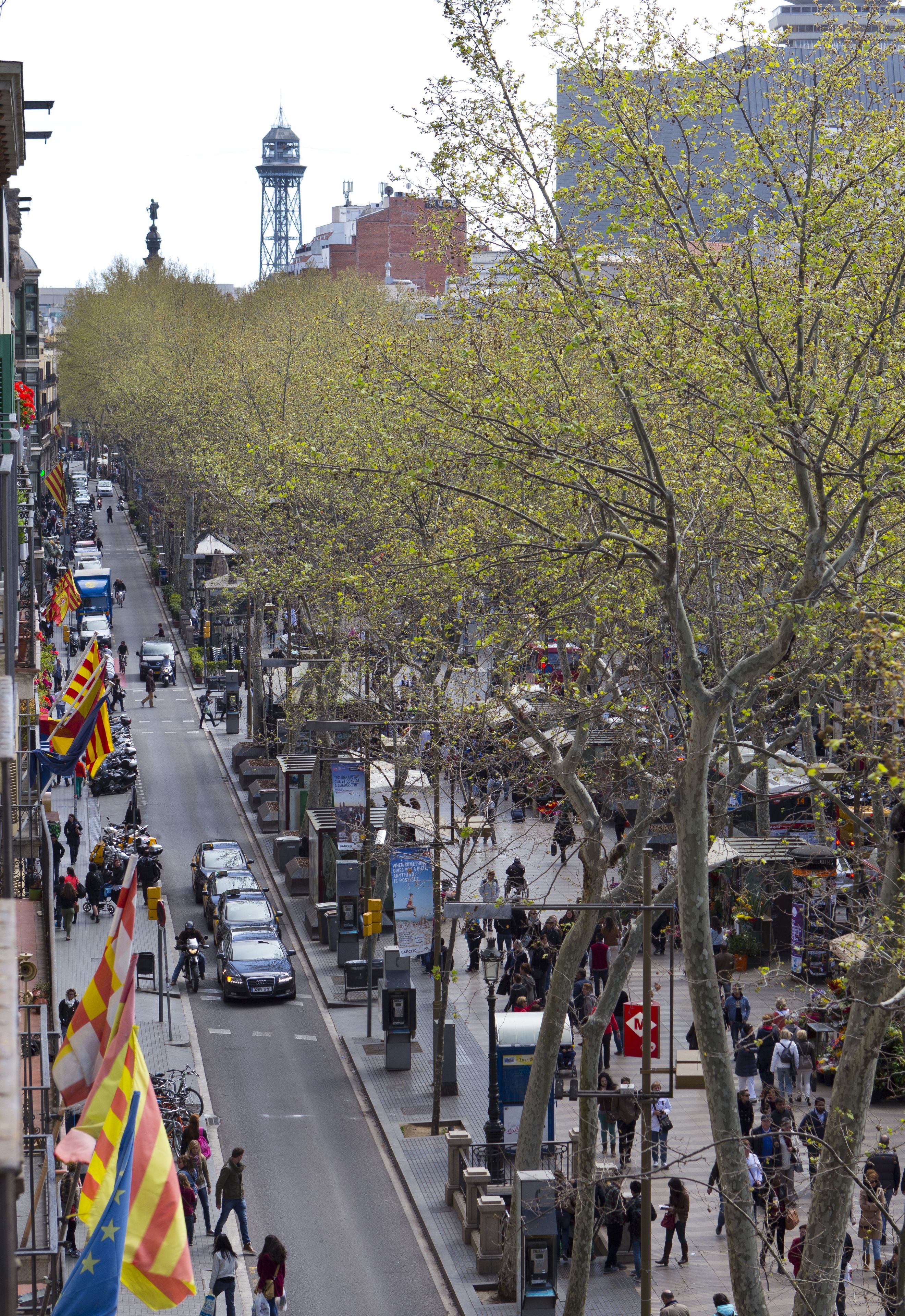 A busy urban street lined with trees and buildings.