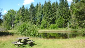 Una mesa de picnic en un área con césped, con un estanque y árboles al fondo.