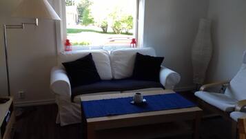 Een televisie, een dvd-speler, tafelvoetbal en boeken