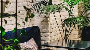 A modern interior with a brick wall, hanging pendant lights, a sofa with patterned cushions, and potted plants. - Hotel Alpha (Sarandë)