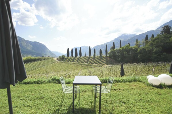 A table and chairs in a grassy field with a vineyard and mountains in the background. - Agritur Casteller (Trento)