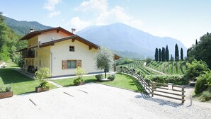 A house with a balcony, a driveway, and a vineyard in the background. - Agritur Casteller (Trento)
