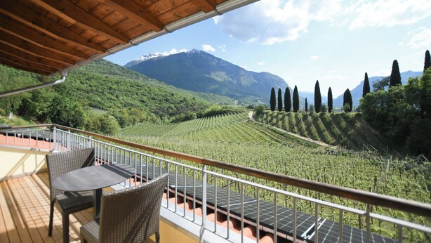A terrace with a view of a vineyard and mountains. - Agritur Casteller (Trento)