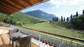 Suite Superior, vista vigneti | Terrazza/patio