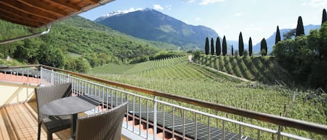 Superior Suite, Vineyard View | Terrace/patio