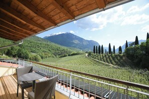 A terrace with a view of a vineyard and mountains. - Agritur Casteller (Trento)