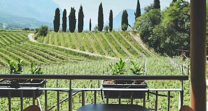 Agritur Casteller
