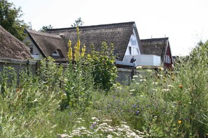 Photo non classée, 3 sur 31, bouton