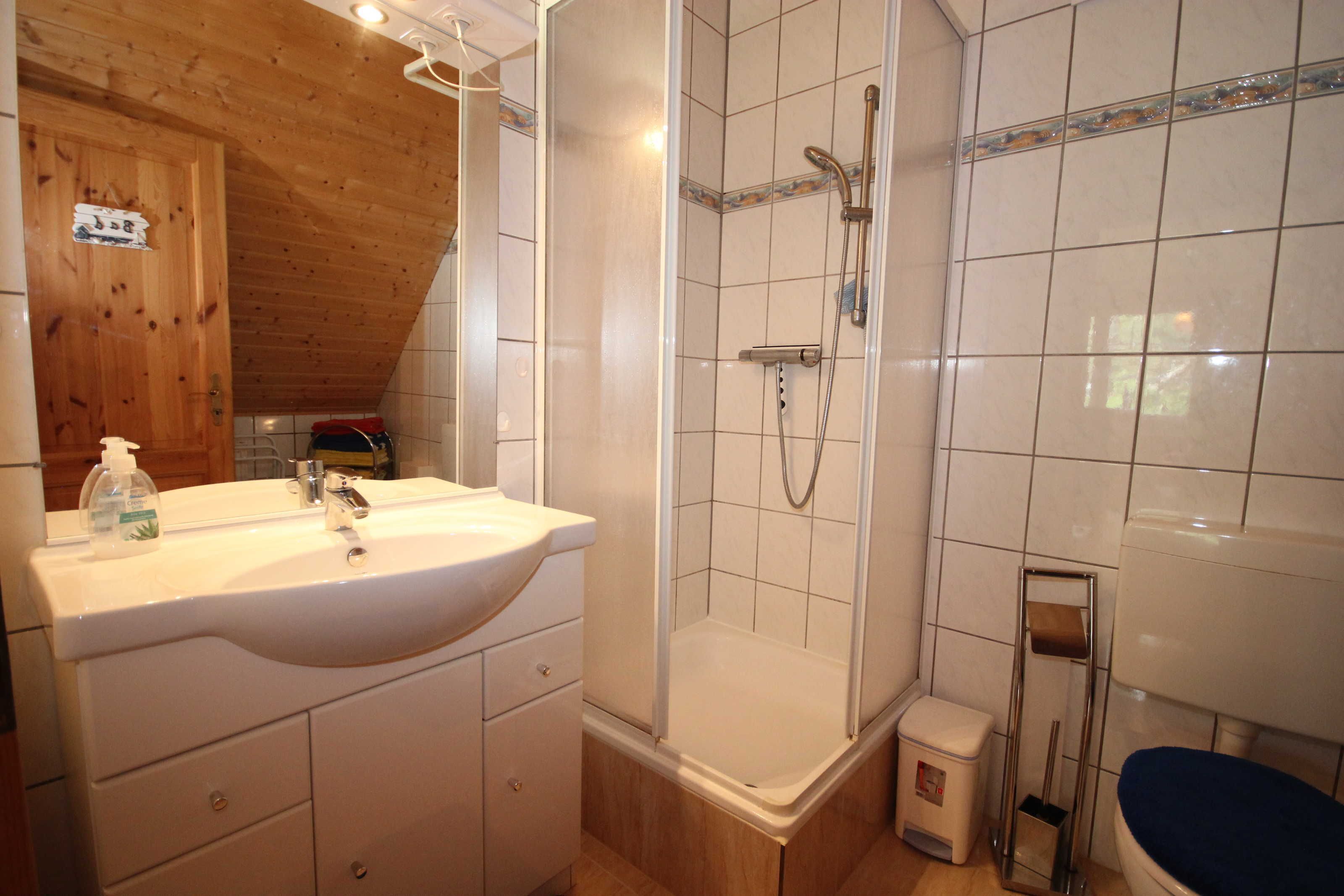 Dusche, Haartrockner, Handtücher