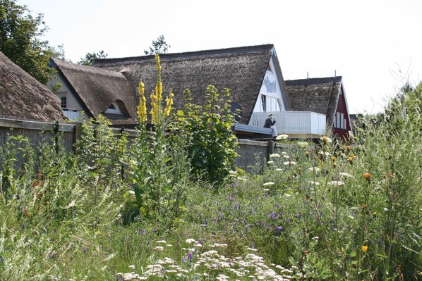 A traditional house with a thatched roof, surrounded by a garden with various wildflowers and plants.