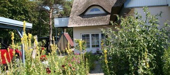 On the beach - ID 51303 - On the beach