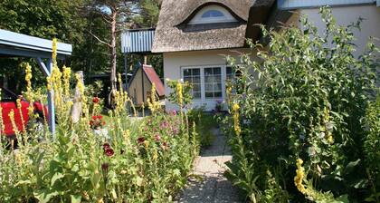 Ă la plage, allemagne