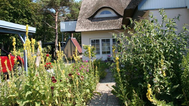A house with a thatched roof, a visible window, and a garden with various plants and flowers.