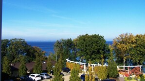 A residential area with parked cars, trees, and a view of the ocean.
