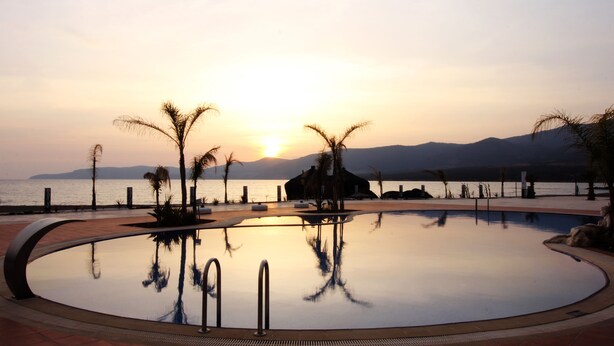 Una piscina con vista al atardecer, palmeras y un cuerpo de agua al fondo.
