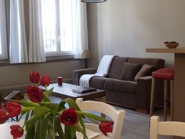 تلفزيون، مشغل دي في دي، كُتُب، مكتبة فيديو