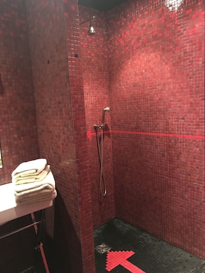 Shower, hair dryer, towels