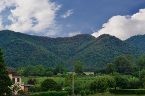 Vista desde la habitación