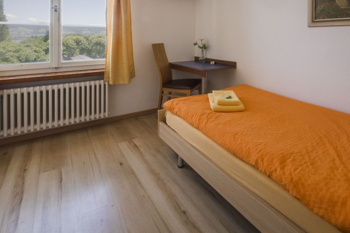 Single Room, Private Bathroom | Desk, cribs (surcharge), WiFi (free), bed sheets