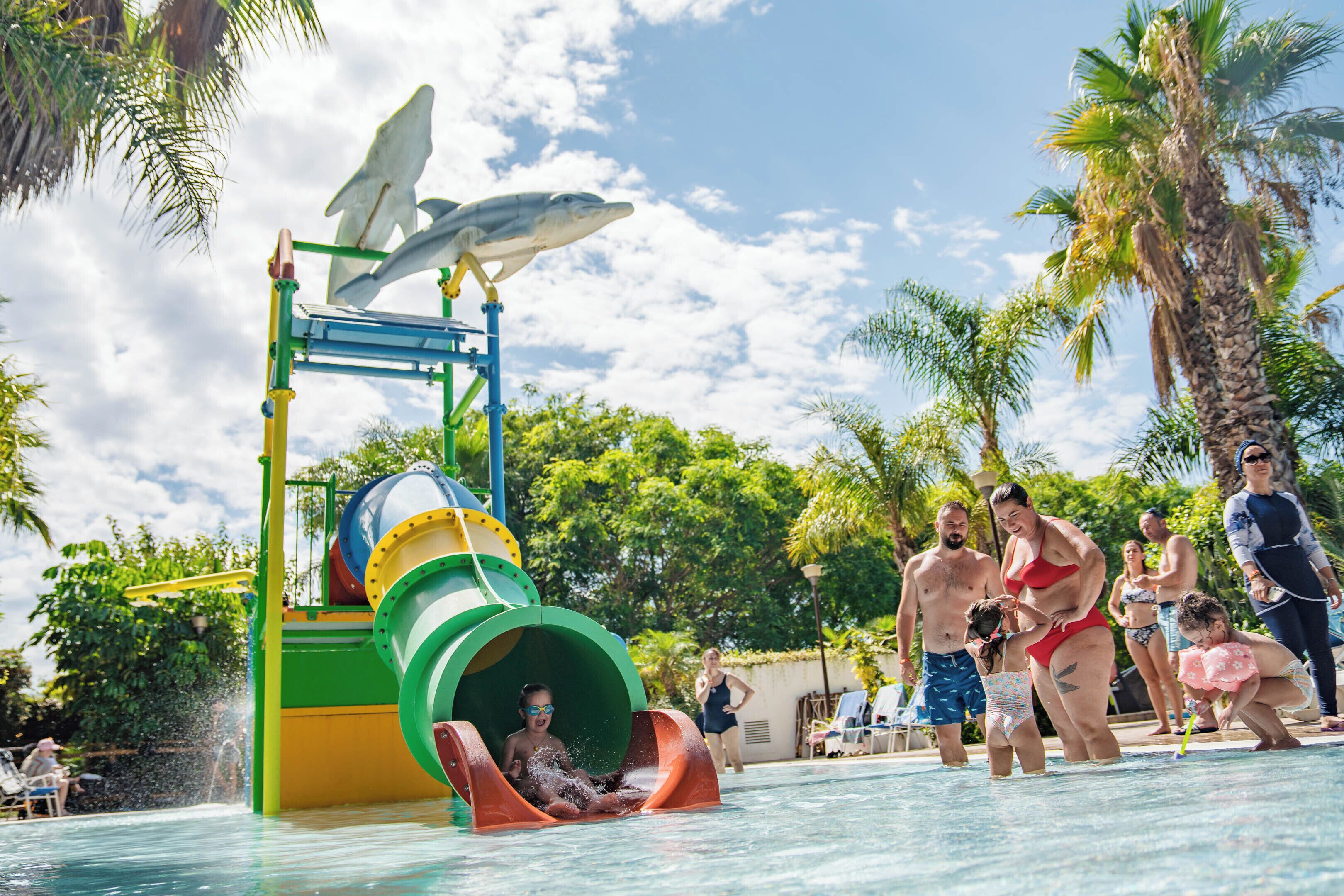 Een waterpark met een haaienachtbaan en een zwembad, omgeven door palmbomen.