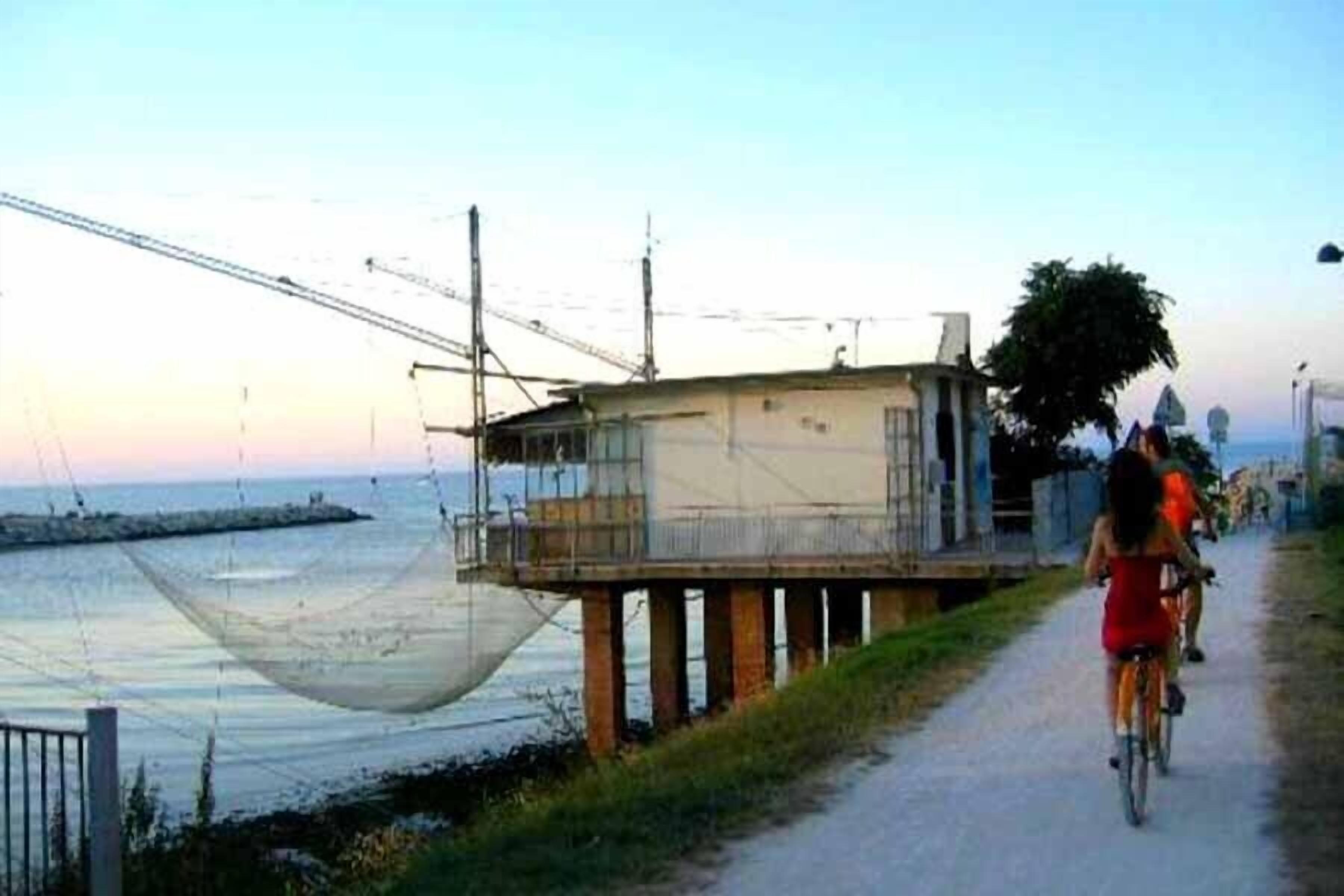 Foto - Hotel Paloma Beach Front Chiringuitos Time