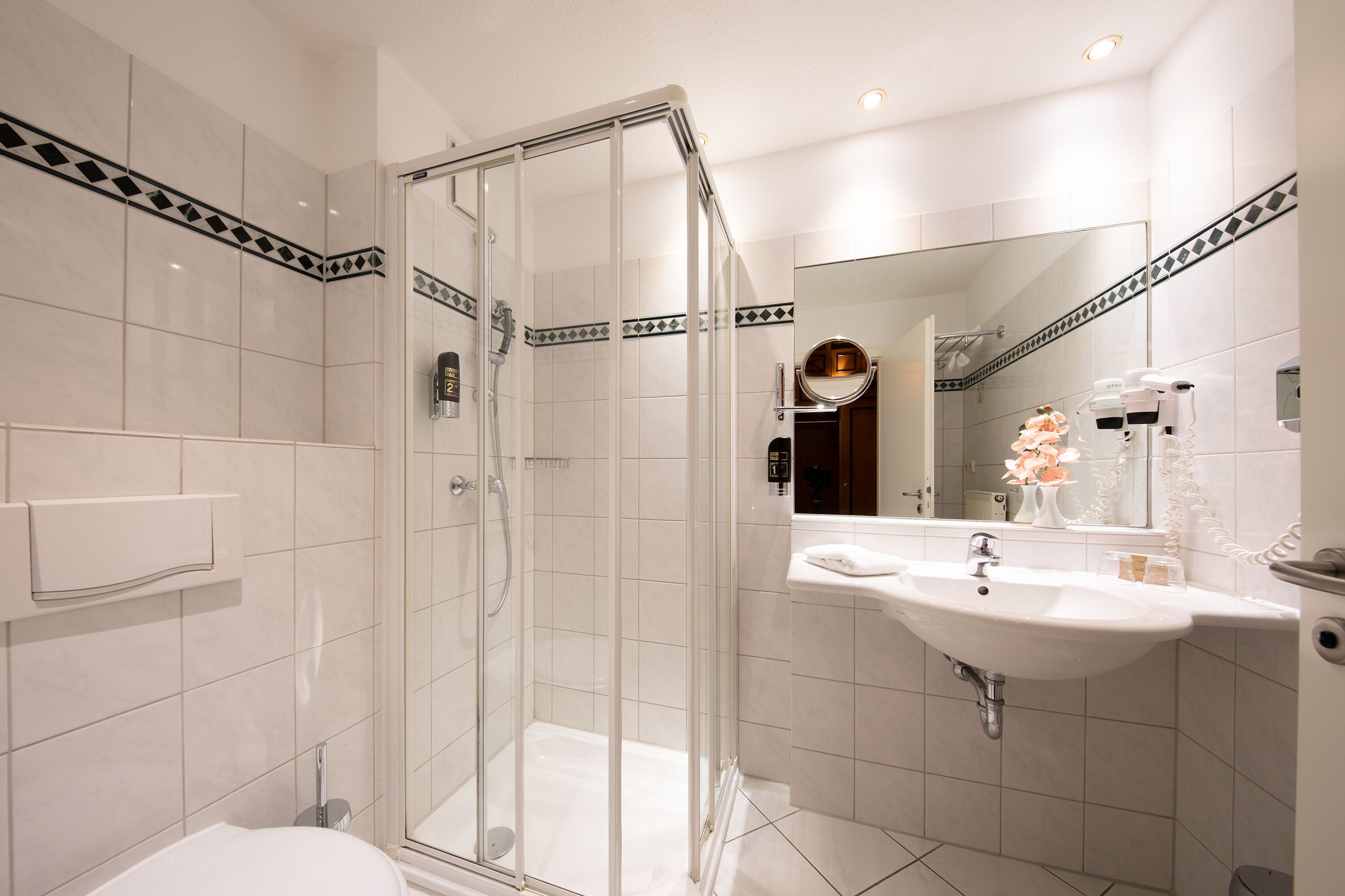 hair dryer, towels, soap, shampoo