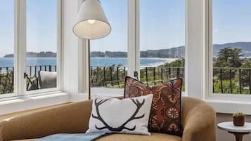 TV, lareira, livros, escritórios