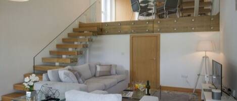 Televisión de pantalla plana, Netflix