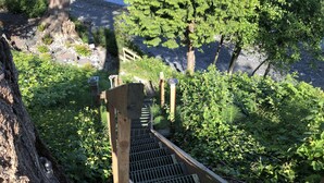 Una escalera de madera que desciende hacia una zona rocosa rodeada de vegetación.