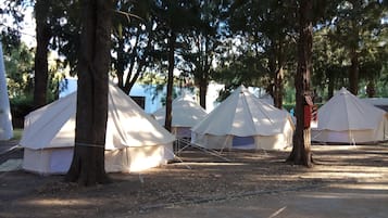 Terrein van de accommodatie