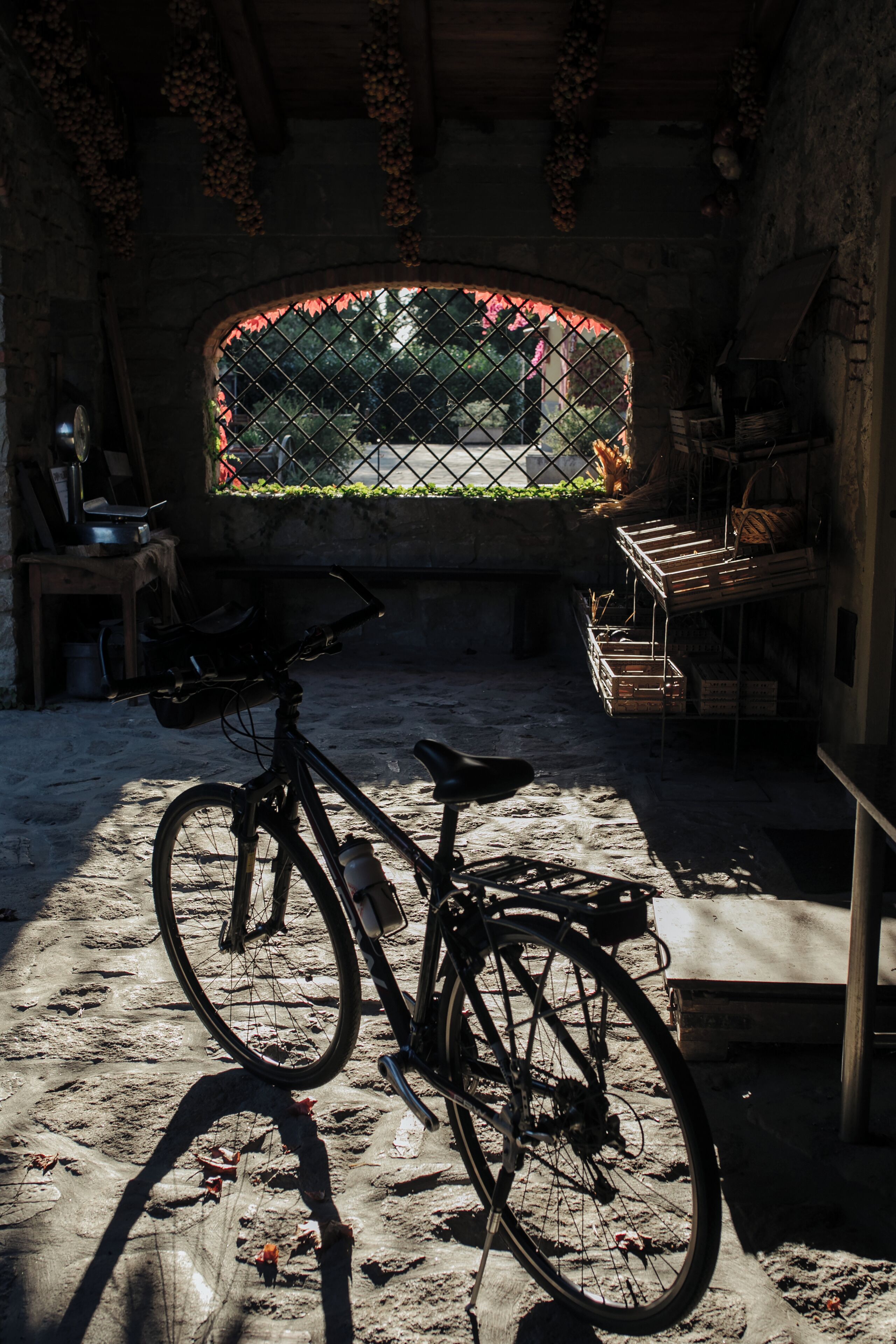 Una bicicletta parcheggiata in una stanza rustica con vista su un giardino.