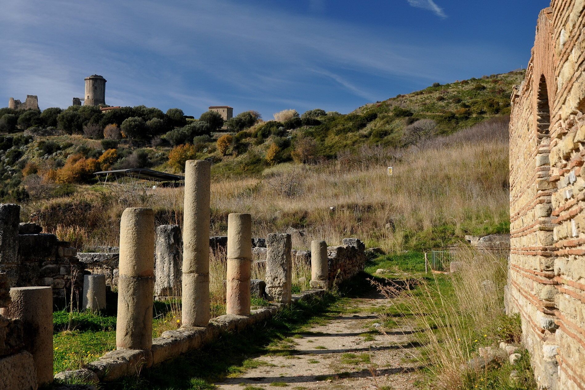 Ancient ruins with stone columns and a pathway leading through them.