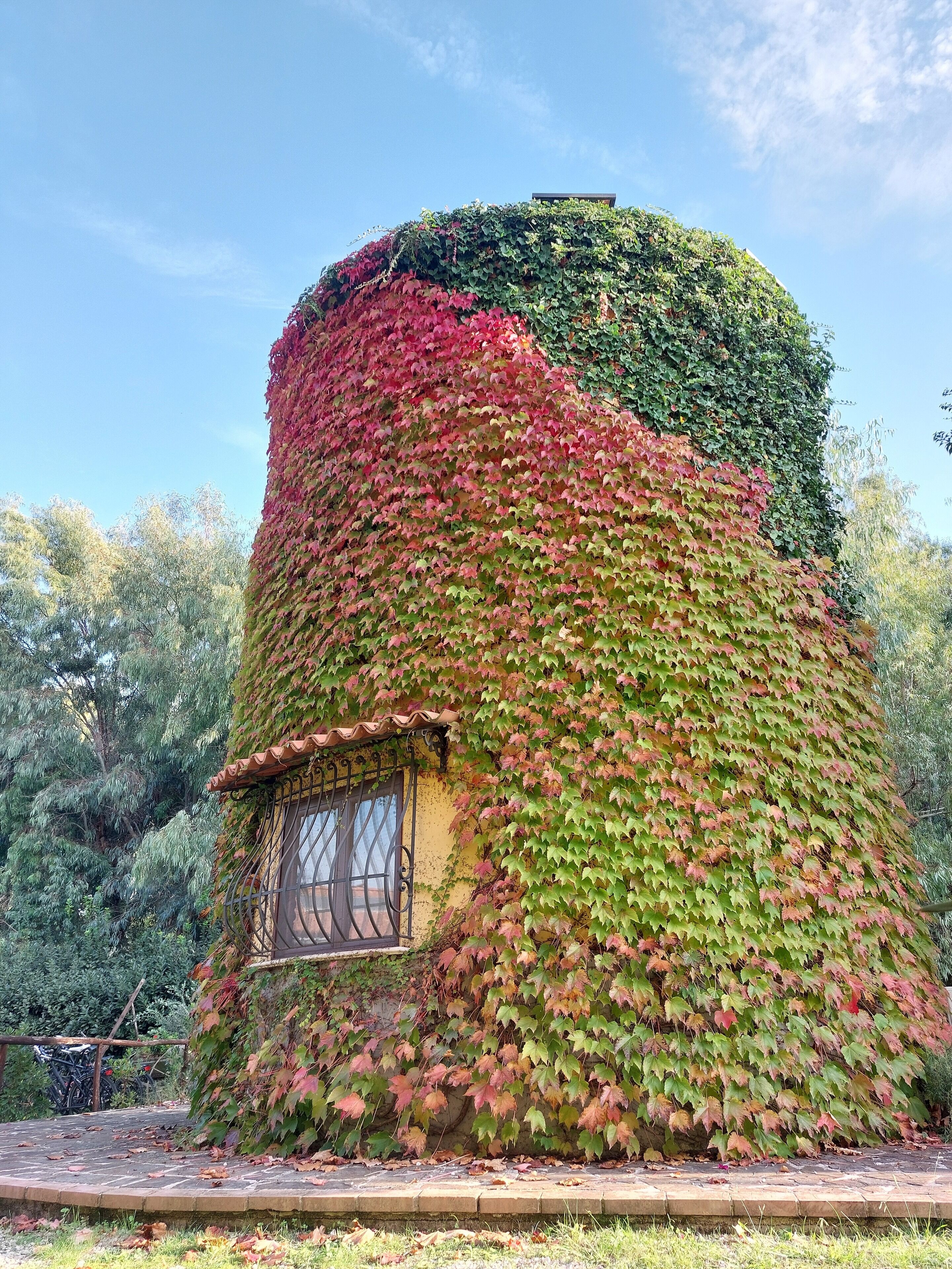 Un bâtiment cylindrique recouvert de feuillage vert et rouge, avec une petite fenêtre et une porte.