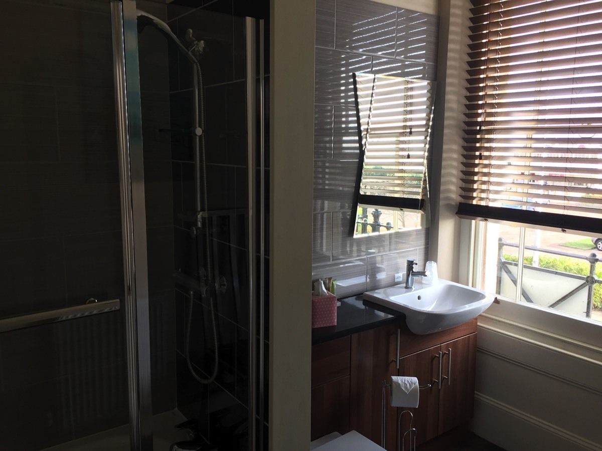 combined shower/bathtub, hair dryer, towels