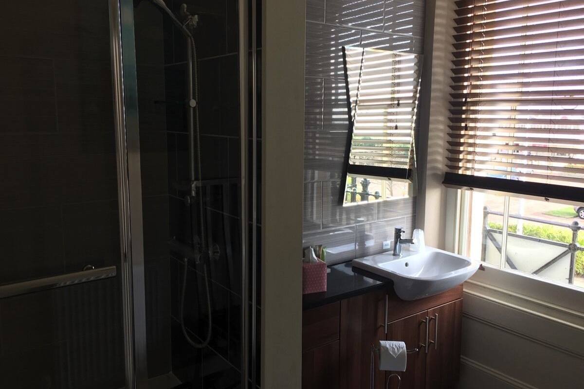 combined shower/bathtub, hair dryer, towels