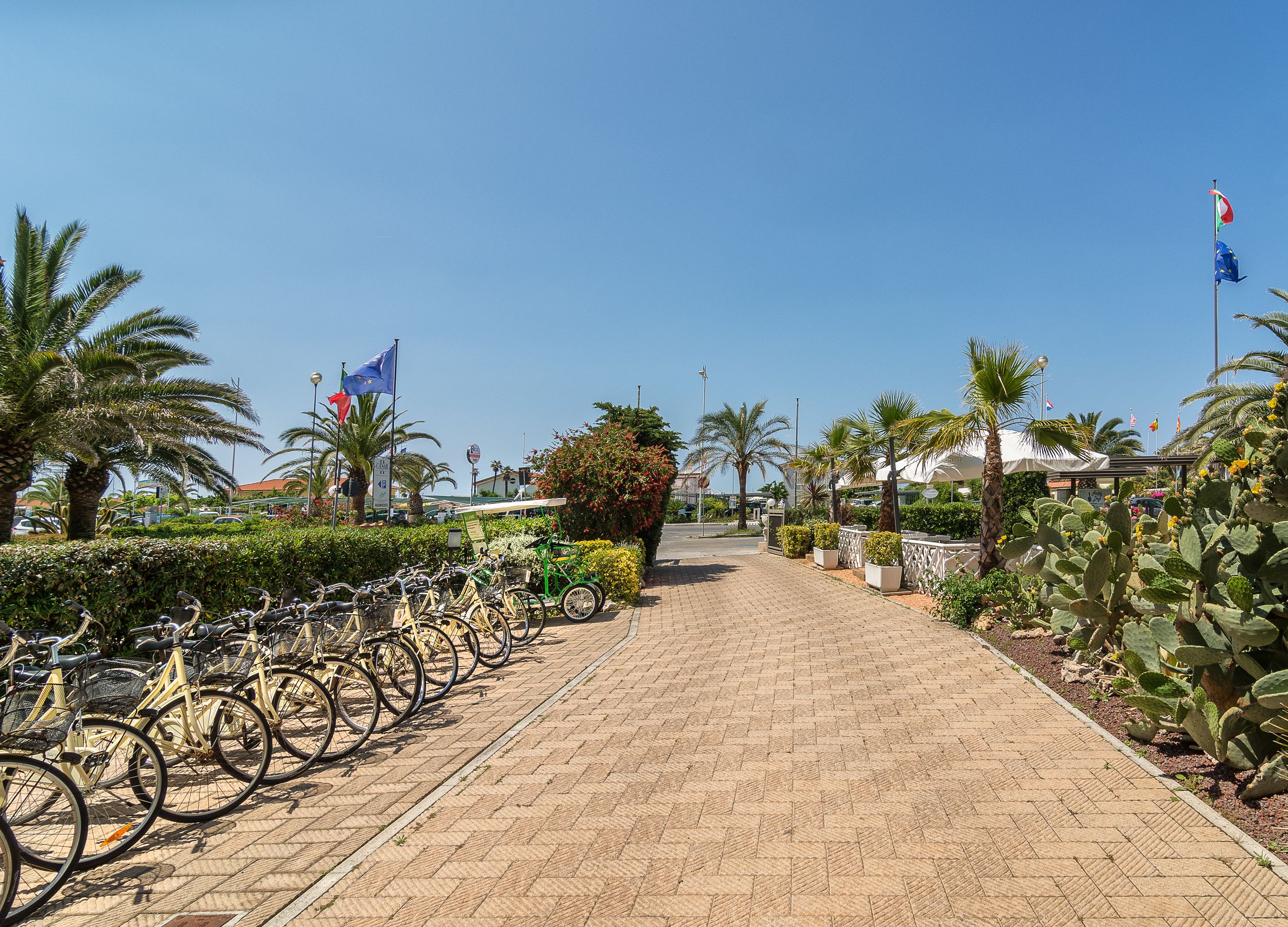 Foto - Hotel Siesta