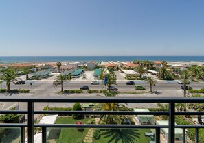 View from property - Hotel Siesta (Camaiore)