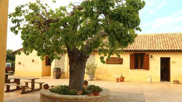 Cortile