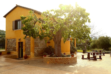Courtyard. Al Grande Gelso