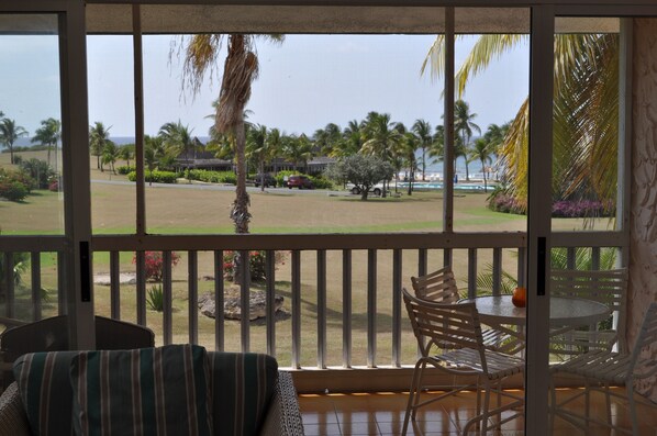 A room with a view of a landscaped area featuring palm trees, a pool, and a beach.