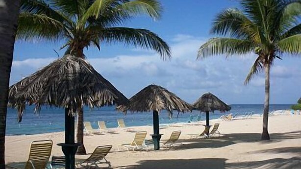 A beach with palm trees, thatched umbrellas, and sun loungers. - Gentle Winds, St. Croix, U.S.V.I. - come unwind! (St. Croix)
