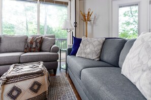 Smart TV, fireplace, DVD player, books