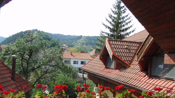 Una zona residencial con casas de techo rojo y un árbol de hoja perenne destacado.