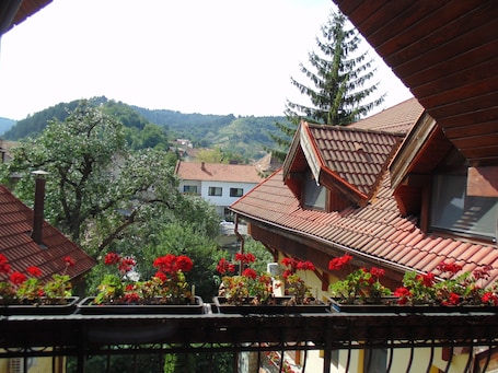 View from property. Hotel Curtea Brasoveana